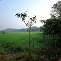 In the land of Greens, Aarey, Mumbai