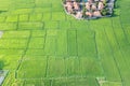 Land or landscape of green field in aerial view for sale or investment Royalty Free Stock Photo