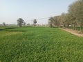 Land of the lodhran city