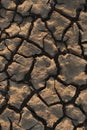 Land lying baked in the heat. The bottom of the dried up lake.