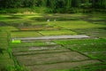 Land Preparing On Progress for Paddy Fields in Silaban Village, North Sumatra, Indonesia Royalty Free Stock Photo