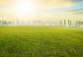 Land scape wide green grass field and modern building of urban s