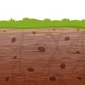 Land in the section. Underground background. Geological layer. Royalty Free Stock Photo
