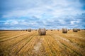 Land of sheaves Royalty Free Stock Photo