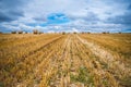 Land of sheaves Royalty Free Stock Photo