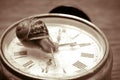 Land snail and clock, in sepia tone