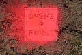 Land survey. Boundary stone marked with neon colour