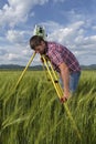 Land surveyor in agriculture field of wheat Royalty Free Stock Photo