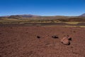 Land of volcanoes in the Argentine Patagonia Royalty Free Stock Photo