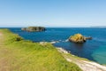 Landascapes of Ireland. Carrick-a-rede, Northern Ireland