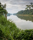 Landcape image of the Periyar river in Kerala, India Royalty Free Stock Photo