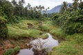 Landcape image of a tiny tributary of the Periyar river in Kerala, India Royalty Free Stock Photo