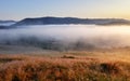 Landcape with sun, meadow, forest and mountain