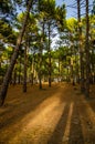 Landes, France, tourist destination