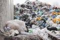 Landfill site, a pile of junk, unsorted waste materials