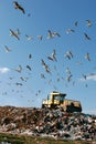 Landfill Working Royalty Free Stock Photo