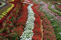 Landfills of flowers