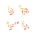Landfowl gradient linear vector icons set Royalty Free Stock Photo