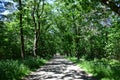 Landgoed Heidestein is a nature reserve on the Utrechtse Heuvelrug.