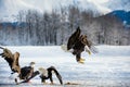 Landing Adult Bald Eagle