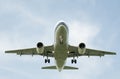 Landing airliner Royalty Free Stock Photo