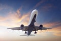 Landing airplane Royalty Free Stock Photo