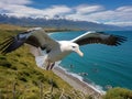 Ai Generated illustration Wildlife Concept of Landing Albatross- Side Royalty Free Stock Photo