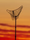 Landing net for fishing at sunset Royalty Free Stock Photo