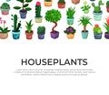 Landing Page with Houseplant in Ceramic Pots Growing Indoors Vector Template