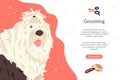 Landing page template with bobtail dog breed