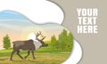 Landing page template with multi-level shadows. Wild reindeer in the tundra