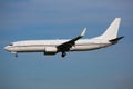 Landing passenger plane at the airport