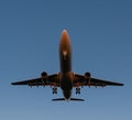 Landing passenger plane during sunset Royalty Free Stock Photo