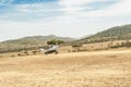 Small Plane landing in the Serengeti