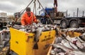 Landings of cod fish in Iceland Royalty Free Stock Photo