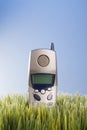 Landline telephone placed in grass.