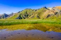 Landmannalaugar - Amazing flower field in the Highland of Iceland Royalty Free Stock Photo