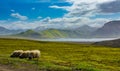 Landmannalaugar - Amazing Landscape in Iceland