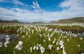 Landmannalaugar