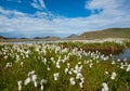 Landmannalaugar Royalty Free Stock Photo