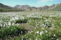 Landmannalaugar hills great panorama, Iceland