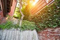 Historic streets of Boston Beacon Hill at sunset