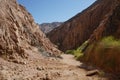 Mountain streams and vegetation in Malakot Mountain oasis tourist site. Dahab, South Sinai Governorate, Egypt