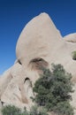 Joshua tree national park california skull rock Royalty Free Stock Photo