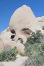 Joshua tree national park california skull rock Royalty Free Stock Photo