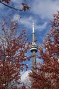 Landmark tower of Toronto Royalty Free Stock Photo