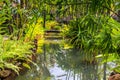 Landsaft design pond at the thailands park at koh Chang Royalty Free Stock Photo