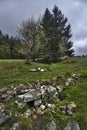 Landsapce of mountain in France, Vosges, fiels and forest, dark sky Royalty Free Stock Photo