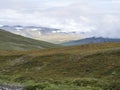 Landscap of Lapland nature at Kungsleden hiking trail with reindeers, colorful mountains, rocks, autumn colored bushes, birch tree