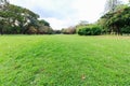The landscap park and grass in city Royalty Free Stock Photo